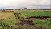 SK7186 : Farmland on flood plain. by Steve  Fareham