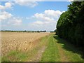 Farmland - Burton Grange