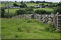 Drystone wall near Castlewellan