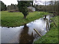 Stream at Mundford