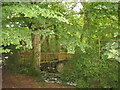 Footbridge over Afon 