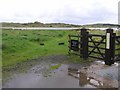 Barmouth Nature Reserve