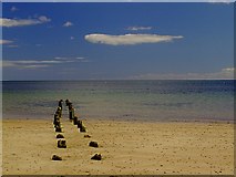 NH8299 : Golspie Beach by Duncan MacDonald