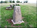 Trig Point 0728 on Muswell Hill