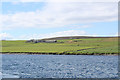 Farm overlooking Bay of Backaland, Eday.