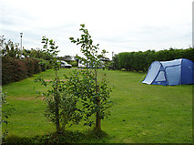T1207 : Campsite at St Margaret's by Linda Bailey