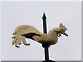 Weather Vane, St Eloy