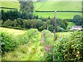 Grassy track leading down from the Severn Way to the river