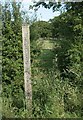 Shropshire Footpath