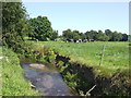 Dairy pasture and stream