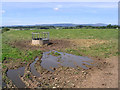 Livestock field