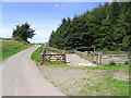 Sheepfold near Gillenbie