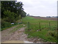 Hedgerow on east flank of Markham