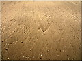 TF5477 : Sand at Moggs Eye by John Taylor