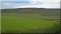 Grain and grazing fields north of Meikle Carrewe