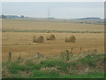 Fields at Mill of Torry Farm