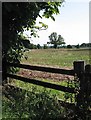 Field of stubble near Anthony