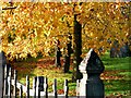 Autumn leaves in Lavenham Churchyard