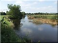 River Stour looking South