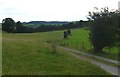 The Severn Way, looking SW