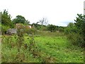 Derelict buildings off Andrews Farm Lane