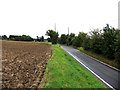 Country lane from Broxted to Great Easton