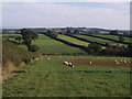 Farmland north of Sheepwash