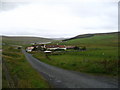 Farm at Trondavoe