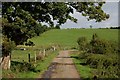 The Green Road near Ballyroney (1)