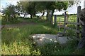 The Green Road near Ballyroney (3)