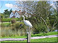 Ornamental Grounds, Lukyns Farm