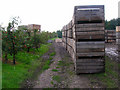 TR0956 : Apple Bins, Nickle Farm by Simon Carey