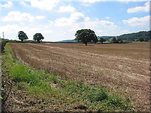 SO6620 : Field of stubble near Laine's Farm by Pauline E