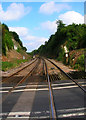 Railway Cutting, Chartham Hatch Crossing