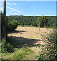 Footpath to Lea from Bradley Court Road