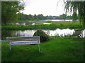 Flood Plain, River Great Stour