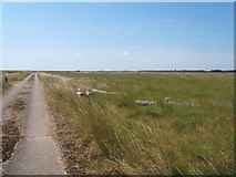 TM4449 : Track on Orford Ness by Roger Miller