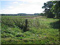 view of fields from footpath near Cotton End