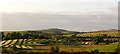 Silage fields near Kenmure