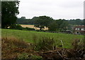 Fields north of Barns Farm