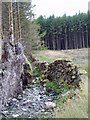 NX5690 : Forest wall near Braidenoch by Bob Peace