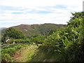 Hilltop south of Hafod y Fedw