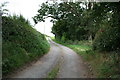 Towards  Colemere Woods