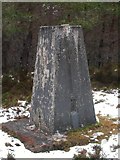 NH4847 : Farley Wood trig point by Alasdair MacNeill