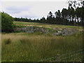 Old quarry near entrance to Caldow Lodge