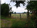 Public footpath at Catsbritch Lane