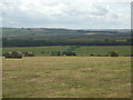 Baling at Mid Glasslaw