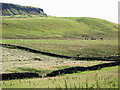 NY8070 : Pastures and meadow below Sewingshields Crags by Mike Quinn