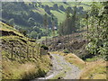 Track beside Springhill Wood