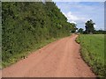 A Red Track in Cheshire